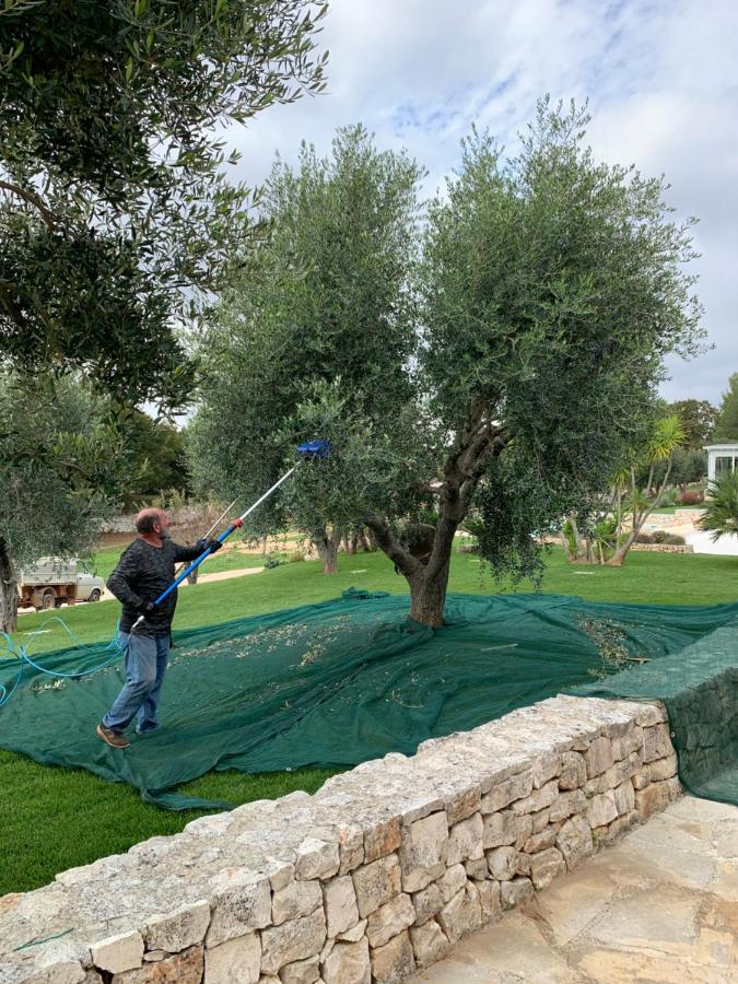 Villa Moresca Dei Trulli Fernando Ostuni Exterior foto